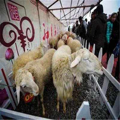 價格 廠家 中國供應(yīng)商