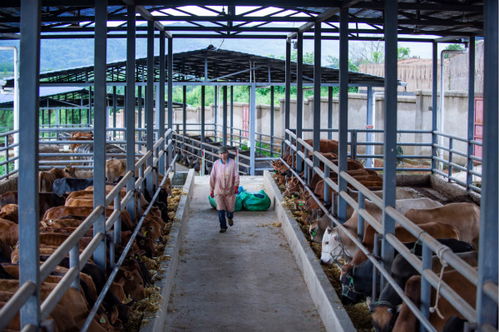 要 美顏 更要笑顏 東西協(xié)作助力脫貧攻堅(jiān)