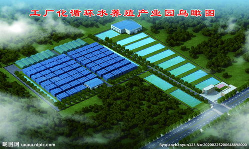 水產(chǎn)養(yǎng)殖場三維鳥瞰圖圖片