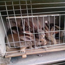 北京德潤祥達商貿中心