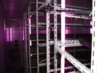 芽苗菜工廠化智能化生產(chǎn)基地展示