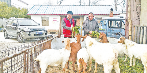 手機變"農(nóng)具"產(chǎn)品出"深閨"