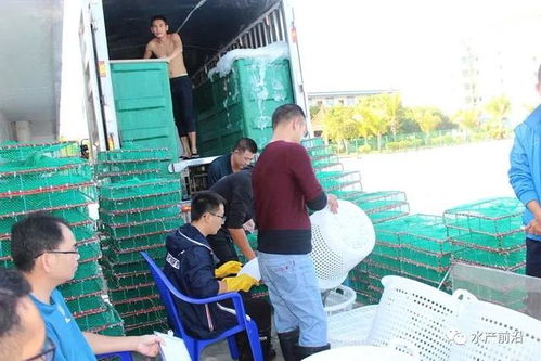 國聯(lián)南三對蝦工廠化養(yǎng)殖基地養(yǎng)蝦,創(chuàng)造超5000斤畝產(chǎn),100 成功,怎么做到