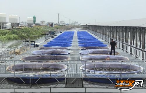 江陵 水產(chǎn)養(yǎng)殖場現(xiàn)代漁業(yè)設(shè)施養(yǎng)殖投苗25000尾