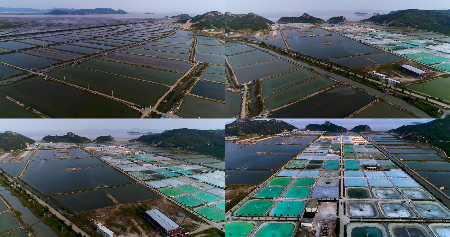 航拍海產品養殖基地