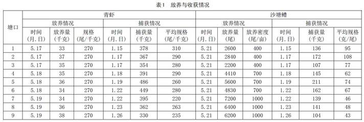 新模式:青蝦池塘套養沙塘鱧增效益