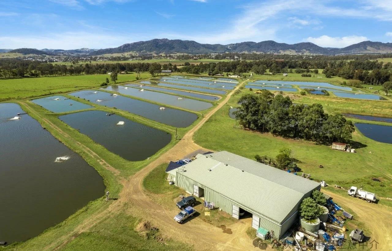 淡水魚養殖場及物業出售