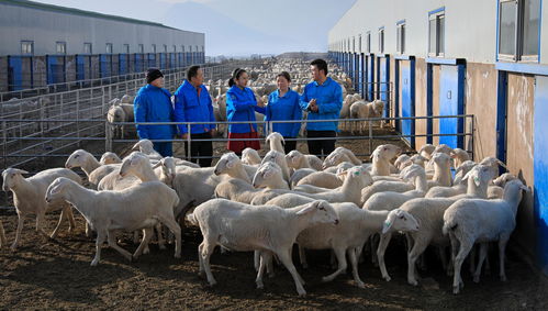 在最困難的地方踐行擔當 記 2020年全國脫貧攻堅獎奉獻獎 獲得者尹建敏