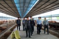 波爾山羊養殖基地養殖技術[供應]_牲畜_世界工廠網中國產品信息庫