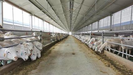 【決勝時刻|一張照片背后的幫扶故事】 天山南北同振興--來自天津市對口援疆前方指揮部的調查報告