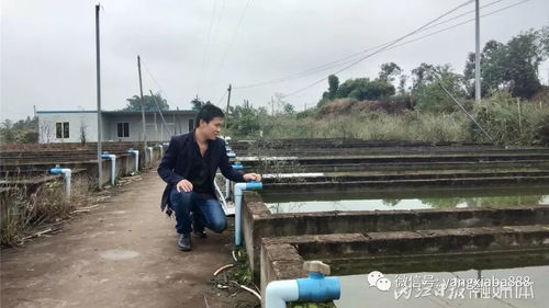 了不得 29歲農村小伙養這個東西一年收入上百萬