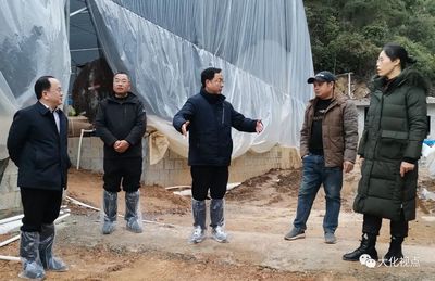 藍勝到那天屯調研循環水養殖項目,推動漁業產業高質量發展