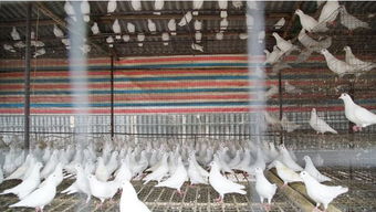 吃得根本停不下來 蓬江,好吃的太多了