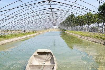 踐行“兩山”理念,讓美麗鄉(xiāng)村好景常在