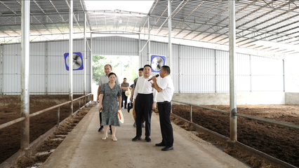 省農(nóng)業(yè)農(nóng)村廳在調(diào)研