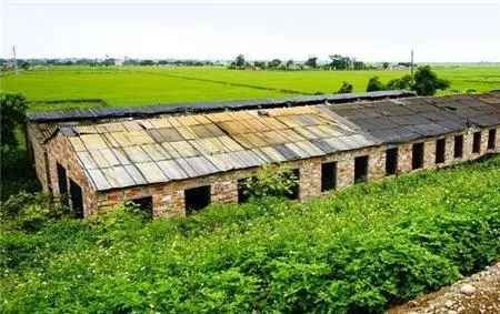 農(nóng)民朋友注意了 下半年國(guó)家將在農(nóng)村推行 四拆 動(dòng)作