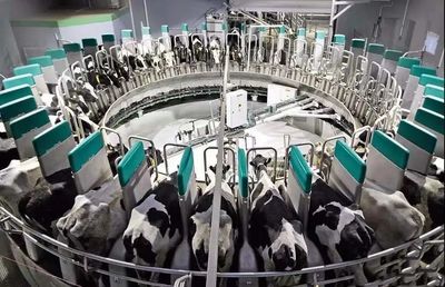 重注產業(yè)鏈!乳企加碼布局,這4大趨勢不可忽視!