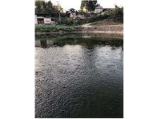 貴溪市磊財(cái)泥鰍養(yǎng)殖專(zhuān)業(yè)合作社養(yǎng)殖基地——綠色生態(tài)，品質(zhì)保障