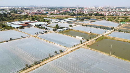 國家級認可 海大兩個育種基地獲評水產健康養殖示范基地