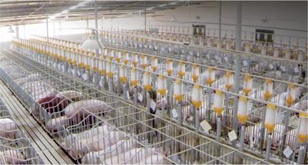 南充市嘉陵區深挖地域特色資源，助力'嘉陵造'地標產品養殖基地申報