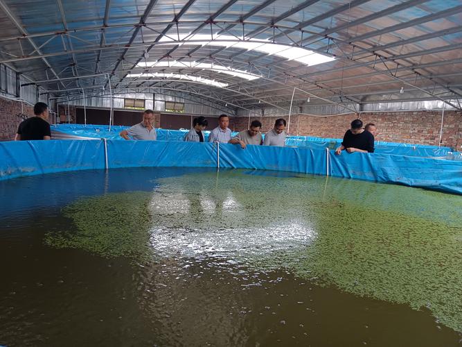 江工作西省水產(chǎn)技術(shù)推廣應(yīng)用處深入我市調(diào)研指導(dǎo)澳洲淡水龍蝦養(yǎng)殖基地