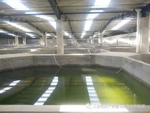 句句精華 陳海龍教你認(rèn)識(shí)什么是工廠化水產(chǎn)養(yǎng)殖系統(tǒng)