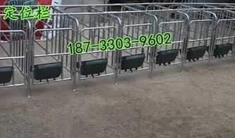 精品推薦 泊頭市宏基養殖設備廠，打造高效現代化養殖基地