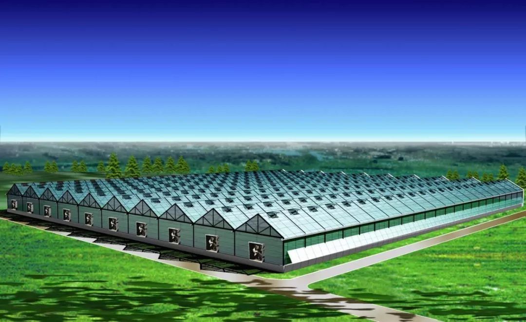 鄉村振興背景下養殖基地申報高達上億元農業扶持資金的條件解析