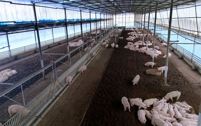 推動生態畜牧全產業鏈高質量發展——以遵義習水養殖基地為例